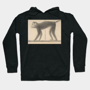 Monkey by Georges-Pierre Seurat Hoodie